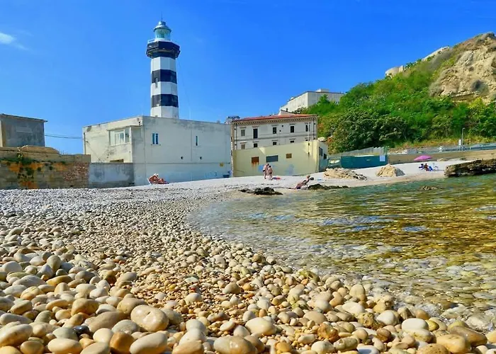 Flowers Ортона